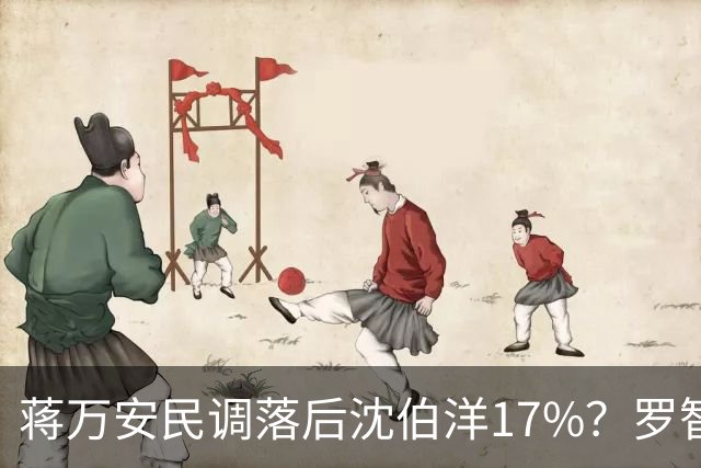 蒋万安民调落后沈伯洋17%？罗智强调侃背后支持